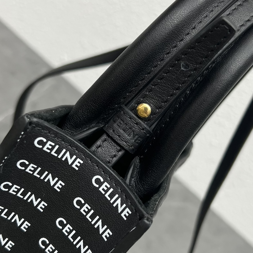 Celine Mini Vertical Cabas In Calfskin With Celine Print Black 193302